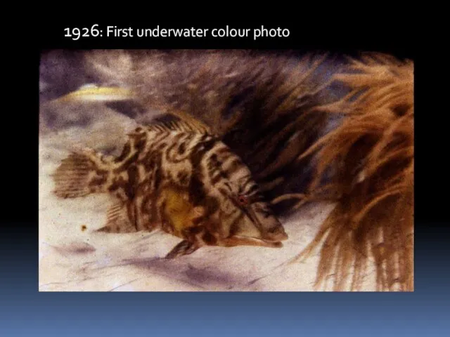 1926: First underwater colour photo