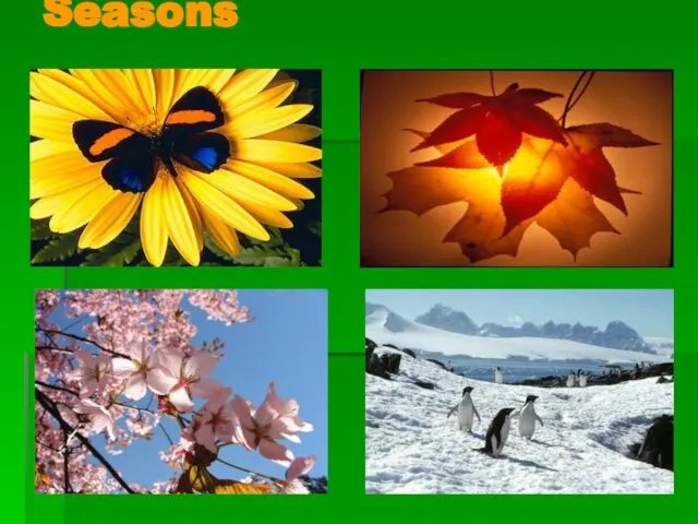 Seasons