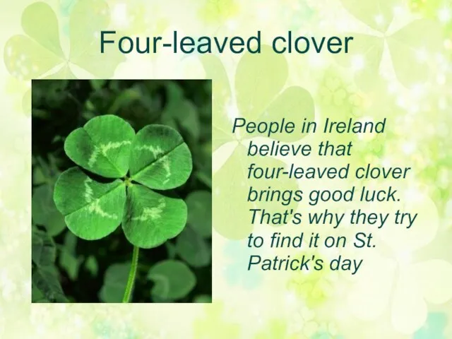 Four-leaved clover People in Ireland believe that four-leaved clover brings good luck.
