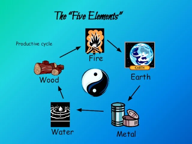 The “Five Elements” Productive cycle