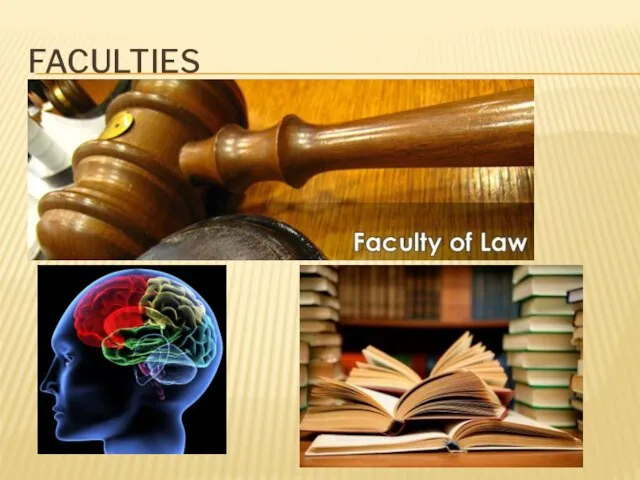 Faculties