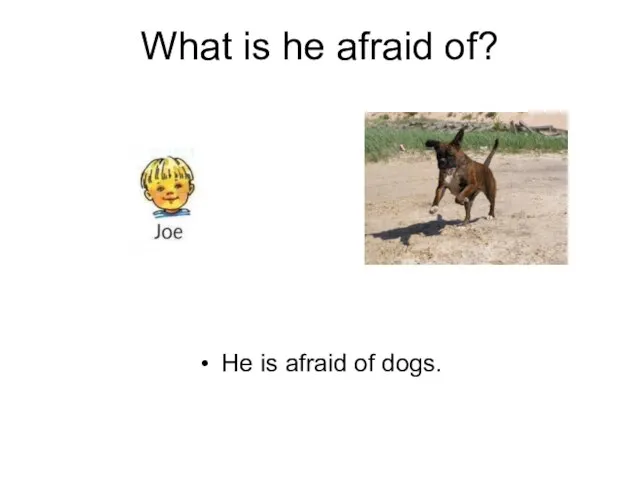 What is he afraid of? He is afraid of dogs.