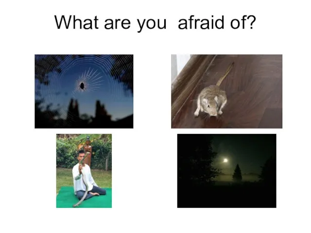 What are you afraid of?