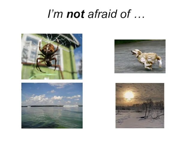 I’m not afraid of …