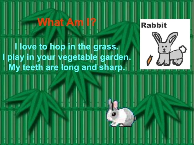 What Am I? I love to hop in the grass. I play
