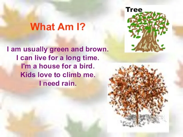 What Am I? I am usually green and brown. I can live