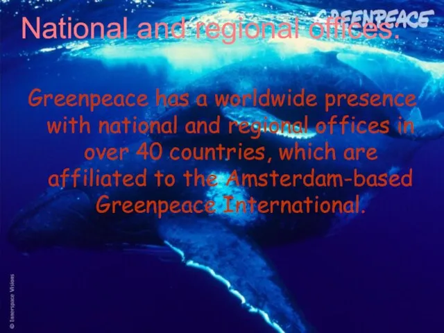 National and regional offices: Greenpeace has a worldwide presence with national and