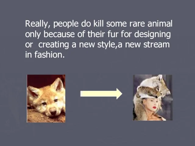 Really, people do kill some rare animal only because of their fur