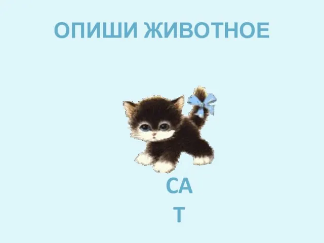 ОПИШИ ЖИВОТНОЕ CAT