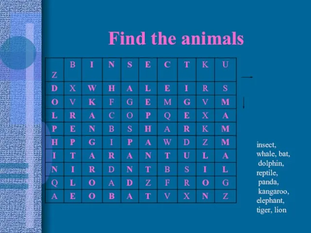Find the animals insect, whale, bat, dolphin, reptile, panda, kangaroo, elephant, tiger, lion