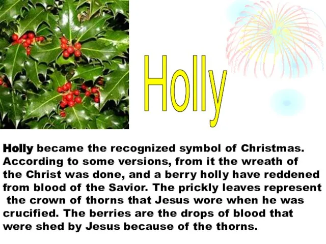 Holly became the recognized symbol of Christmas. According to some versions, from