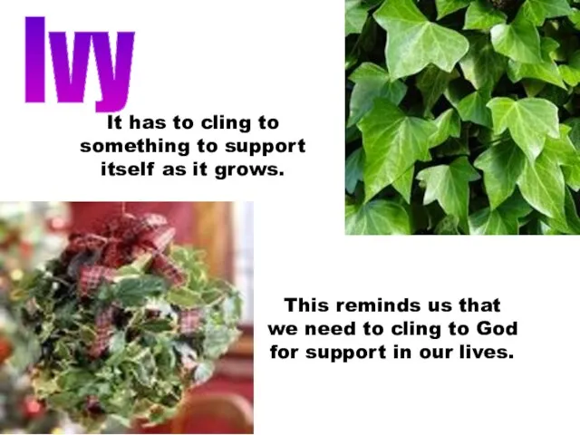 Ivy This reminds us that we need to cling to God for