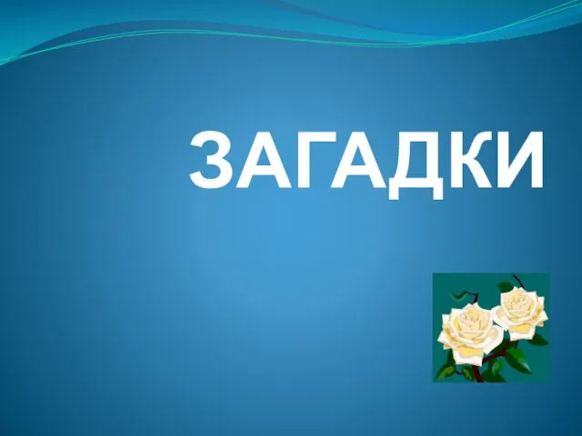 ЗАГАДКИ