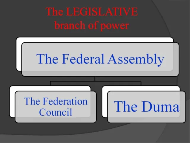 The LEGISLATIVE branch of power