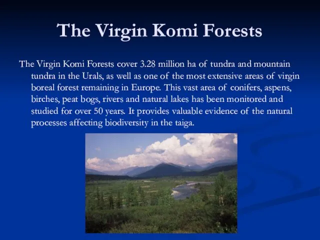 The Virgin Komi Forests The Virgin Komi Forests cover 3.28 million ha