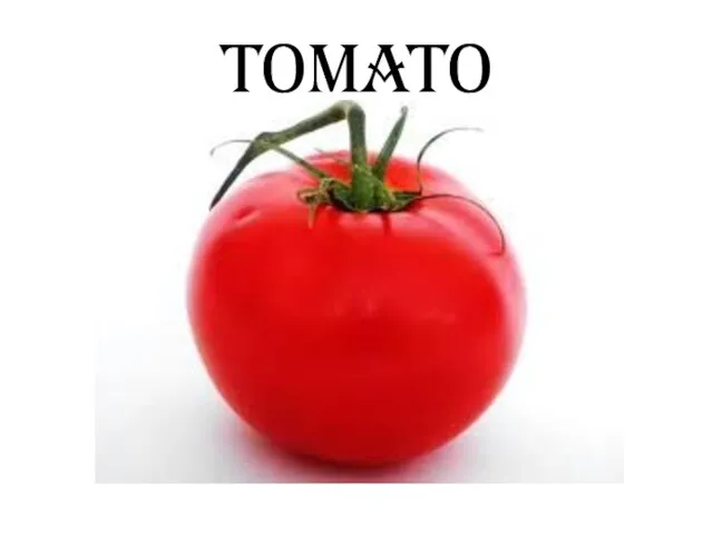 TOMATO