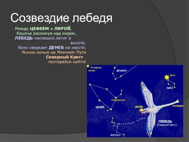 Созвездие лебедя Между ЦЕФЕЕМ и ЛИРОЙ, Крылья раскинув над миром, ЛЕБЕДЬ неспешно