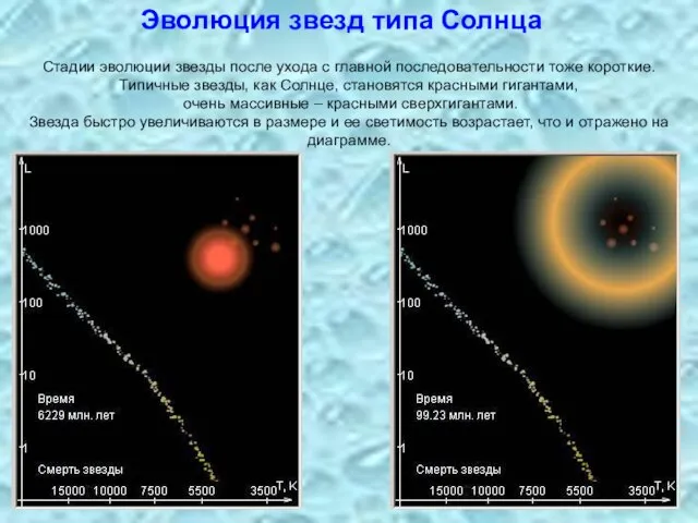Стадии эволюции звезды после ухода с главной последовательности тоже короткие. Типичные звезды,