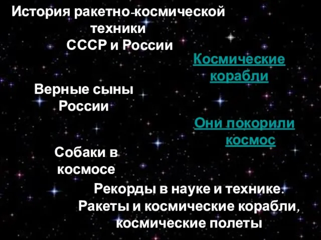 Космические корабли Они покорили космос Верные сыны России Собаки в космосе Рекорды