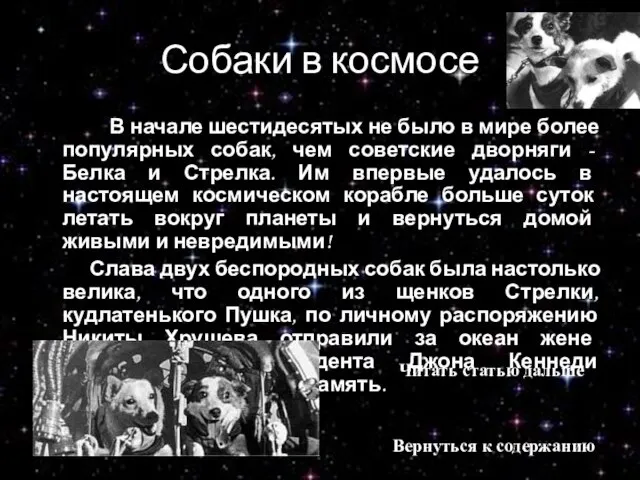 Собаки в космосе В начале шестидесятых не было в мире более популярных