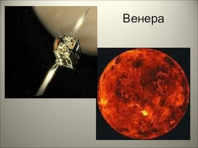 Венера