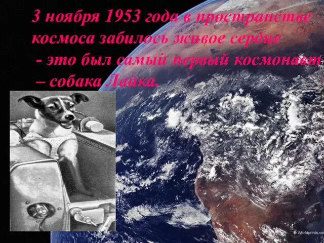 3 ноября 1953 года в пространстве космоса забилось живое сердце - это