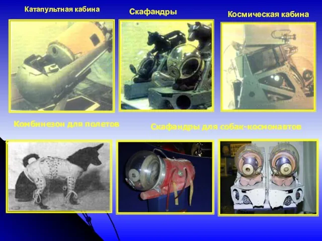 Космическая кабина Катапультная кабина Скафандры Комбинезон для полетов Скафандры для собак-космонавтов