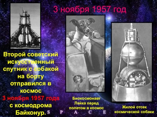 Второй советский искусственный спутник с собакой на борту отправился в космос 3