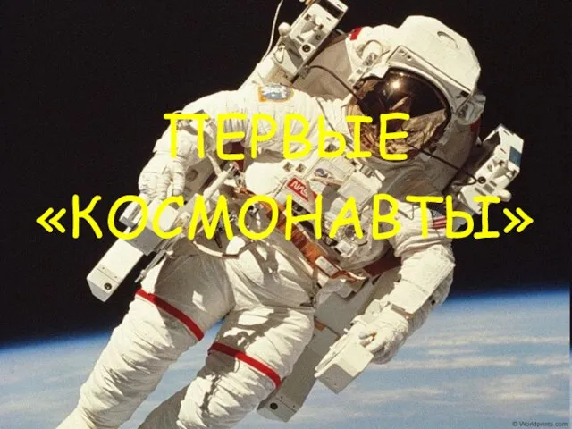 ПЕРВЫЕ «КОСМОНАВТЫ»