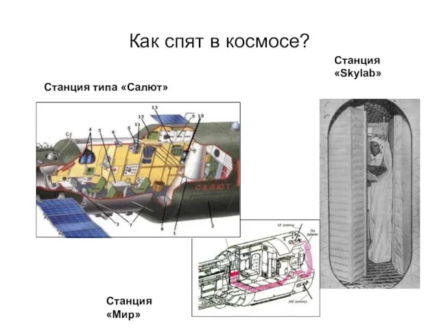 Как спят в космосе? Станция типа «Салют» Станция «Мир» Станция «Skylab»