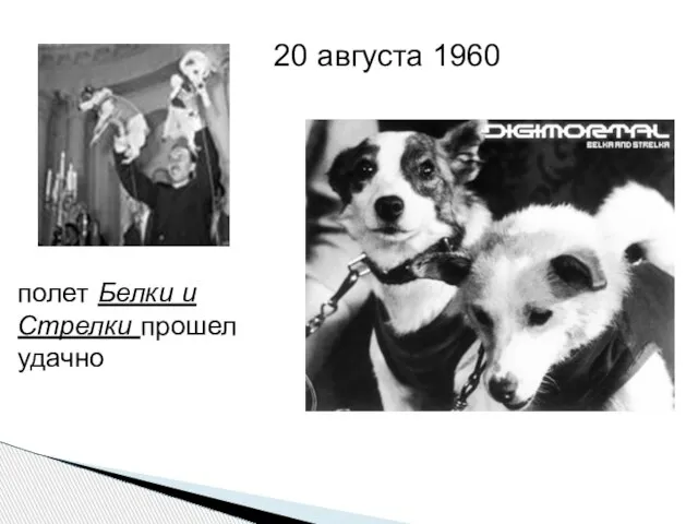 20 августа 1960 полет Белки и Стрелки прошел удачно