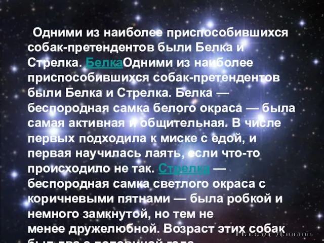 Одними из наиболее приспособившихся собак-претендентов были Белка и Стрелка. БелкаОдними из наиболее