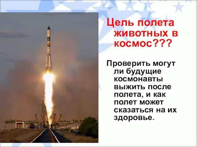 Цель полета животных в космос??? Проверить могут ли будущие космонавты выжить после