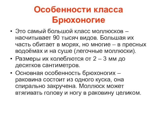 Особенности класса Брюхоногие Это самый большой класс моллюсков – насчитывает 90 тысяч