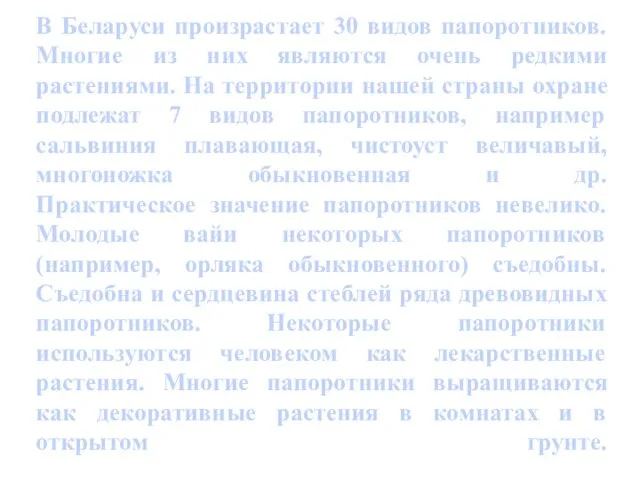 В Беларуси произрастает 30 видов папоротников. Многие из них являются очень редкими