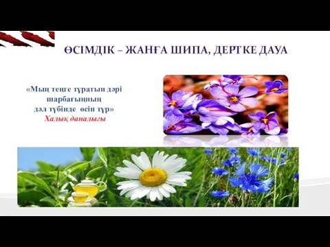 ӨСІМДІК – ЖАНҒА ШИПА, ДЕРТКЕ ДАУА «Мың теңге тұратын дәрі шарбағыңның дәл