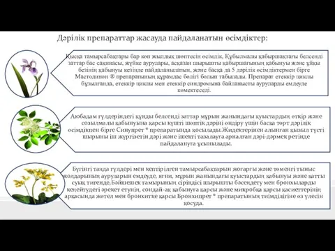 Дәрілік препараттар жасауда пайдаланатын өсімдіктер: