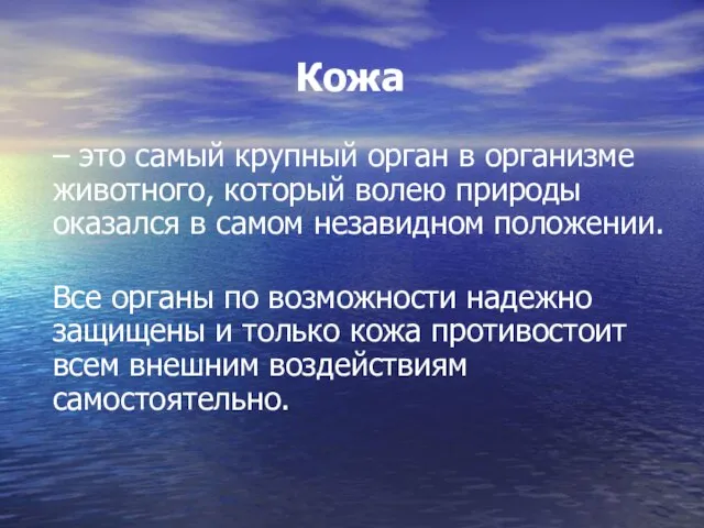 Кожа – это самый крупный орган в организме животного, который волею природы