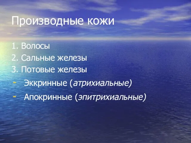 Производные кожи 1. Волосы 2. Сальные железы 3. Потовые железы Эккринные (атрихиальные) Апокринные (эпитрихиальные)