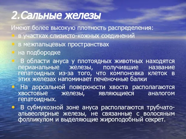 2. Сальные железы Имеют более высокую плотность распределения: в участках слизисто-кожных соединений