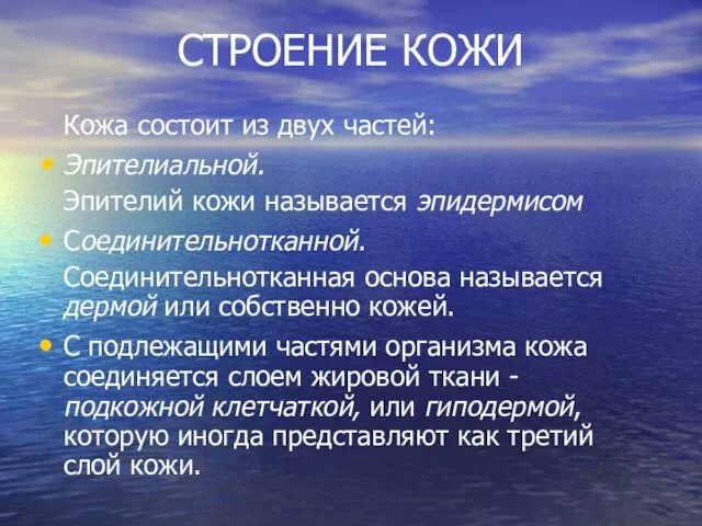 СТРОЕНИЕ КОЖИ Кожа состоит из двух частей: Эпителиальной. Эпителий кожи называется эпидермисом