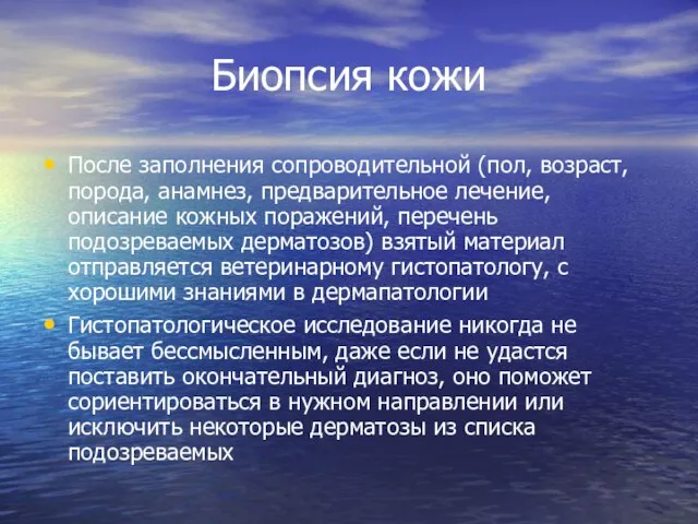 Биопсия кожи После заполнения сопроводительной (пол, возраст, порода, анамнез, предварительное лечение, описание