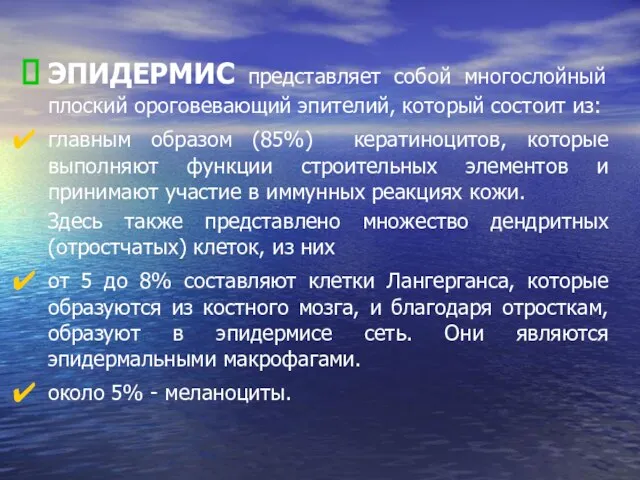 ЭПИДЕРМИС представляет собой многослойный плоский ороговевающий эпителий, который состоит из: главным образом