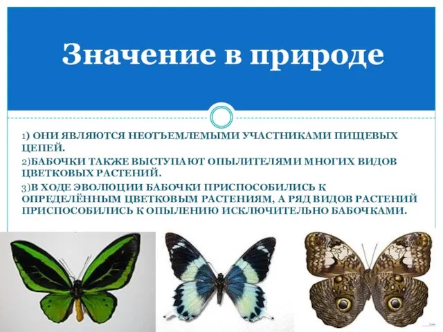 1) они являются неотъемлемыми участниками пищевых цепей. 2)Бабочки также выступают опылителями многих