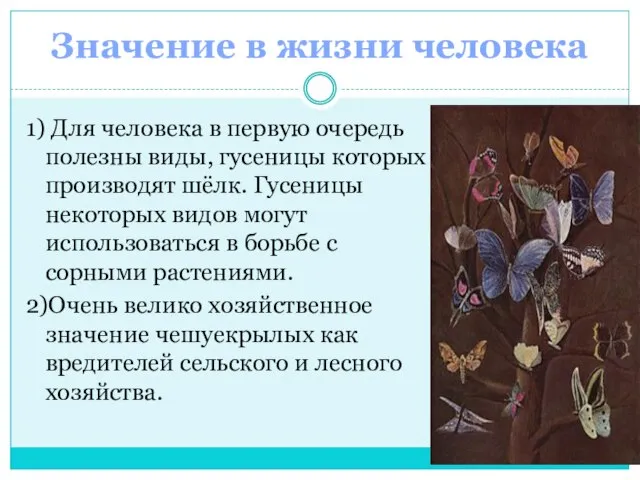 Значение в жизни человека 1) Для человека в первую очередь полезны виды,