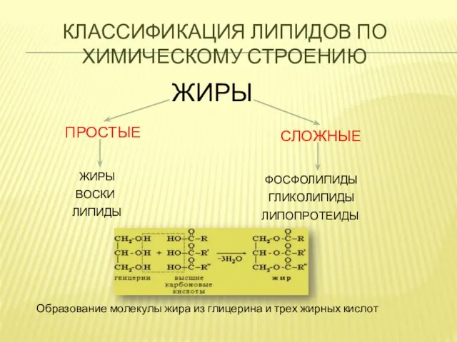 Классификация липидов по химическому строению ПРОСТЫЕ ЖИРЫ СЛОЖНЫЕ ЖИРЫ ВОСКИ ЛИПИДЫ ФОСФОЛИПИДЫ