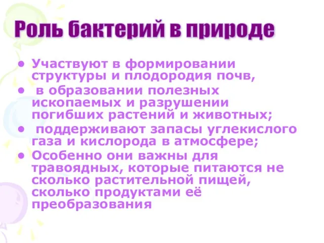 Участвуют в формировании структуры и плодородия почв, в образовании полезных ископаемых и