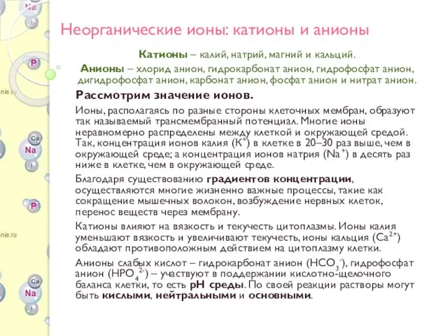 Неорганические ионы: катионы и анионы Катионы – калий, натрий, магний и кальций.