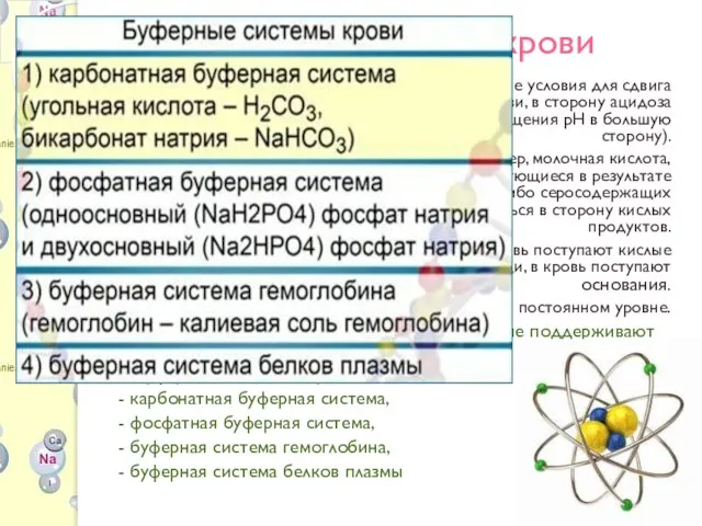 Буферная система крови В организме человека всегда имеются определенные условия для сдвига