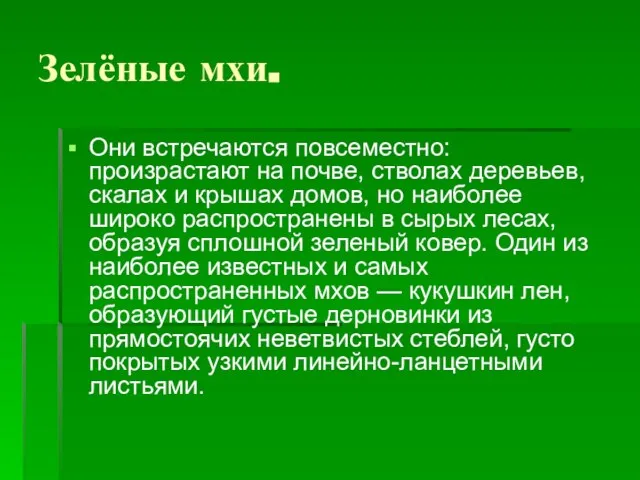 Зелёные мхи. Они встречаются повсеместно: произрастают на почве, стволах деревьев, скалах и